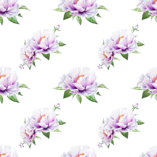 美丽的白牡丹无缝图案。束鲜花。花卉无休止的纹理。标记图。素材图片