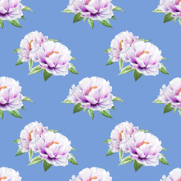 美丽的白牡丹无缝图案。束鲜花。花卉无休止的纹理。标记图。素材图片