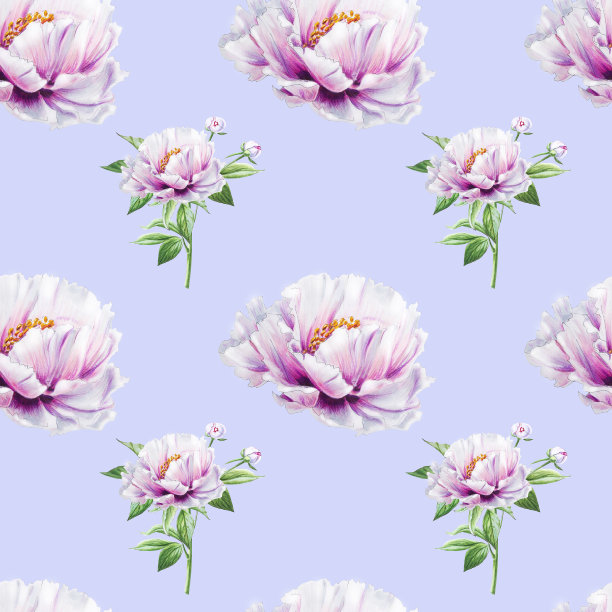 美丽的白牡丹无缝图案。束鲜花。花卉无休止的纹理。标记图。素材图片