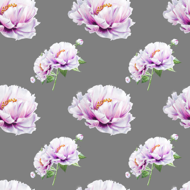 美丽的白牡丹无缝图案。束鲜花。花卉无休止的纹理。标记图。素材图片