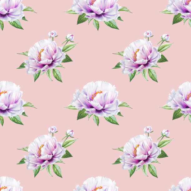 美丽的白牡丹无缝图案。束鲜花。花卉无休止的纹理。标记图。素材图片