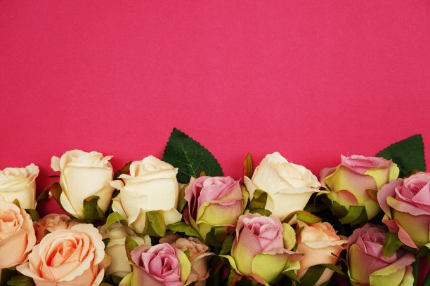 玫瑰花束边框与空间副本在粉红色的背景图片下载