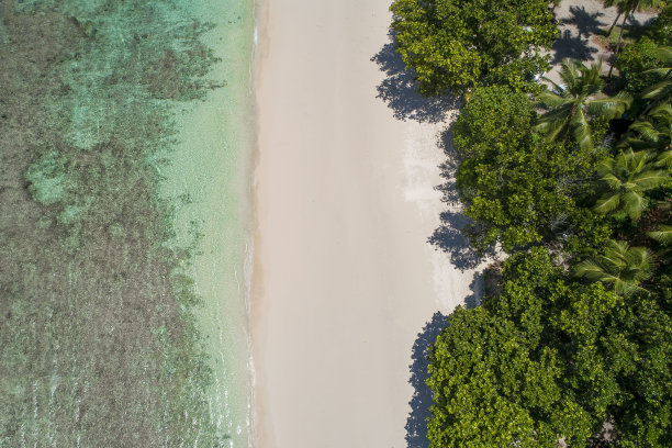 热带海滩，有大海和棕榈树，无人机拍摄。海滩和海边的照片。浪漫的海滩鸟瞰图。图片下载