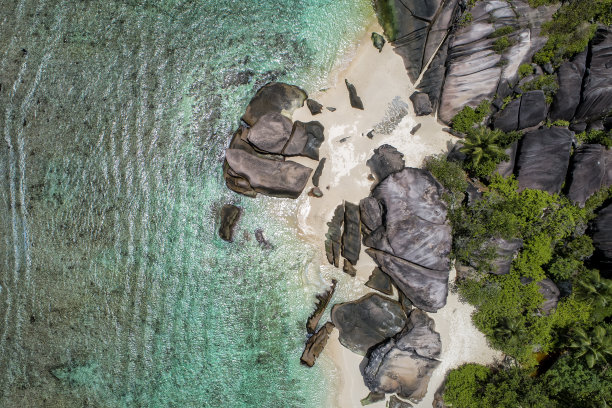 热带海滩，有大海和棕榈树，无人机拍摄。海滩和海边的照片。浪漫的海滩鸟瞰图。图片下载