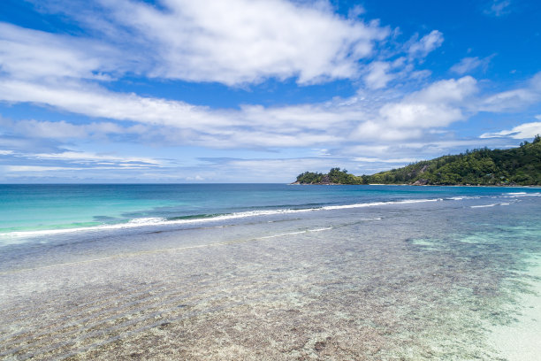 热带海滩，有大海和棕榈树，无人机拍摄。海滩和海边的照片。浪漫的海滩鸟瞰图。图片下载