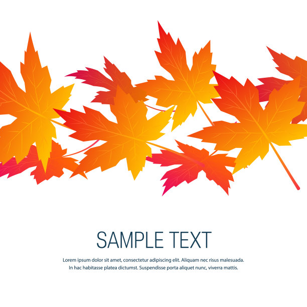 五彩缤纷的叶子平式，框架模板图片下载