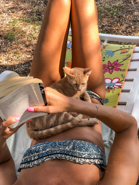 成年妇女放松与她的猫在暑假图片下载