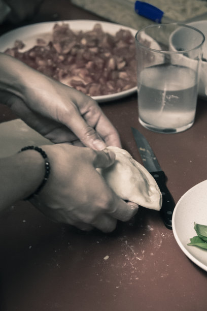 手烤智利肉馅卷饼图片下载