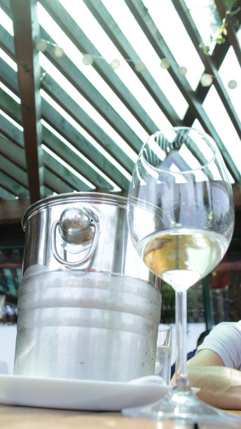 用玻璃杯加冰的香槟图片下载