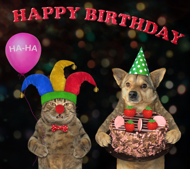 一只猫和一只狗在吃草莓派图片下载