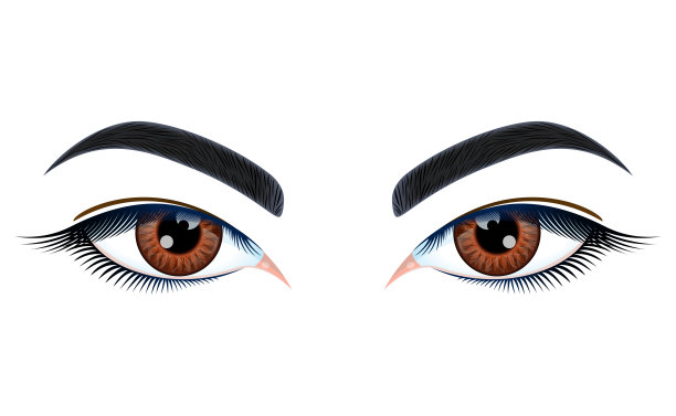 女人的化妆。向量图片下载