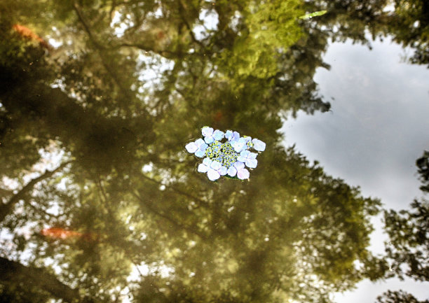 佛教寺庙，大宗台亚洲图片下载