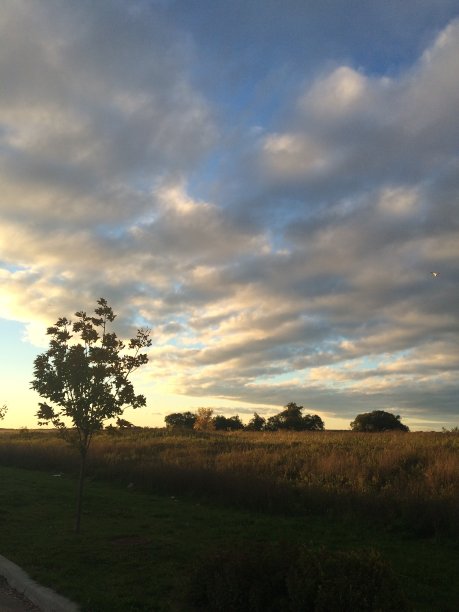 草原领域图片下载