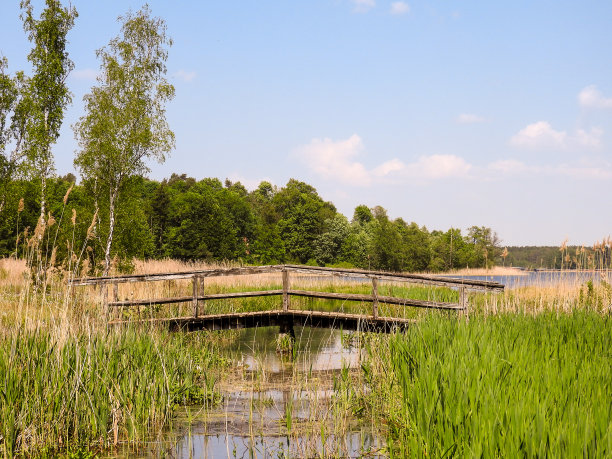 小溪上的木桥图片下载