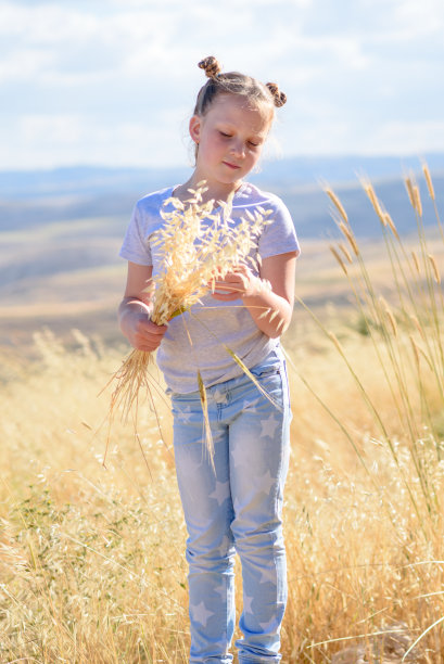在金色的麦田里，拿着麦穗和燕麦穗的金发小女孩图片下载