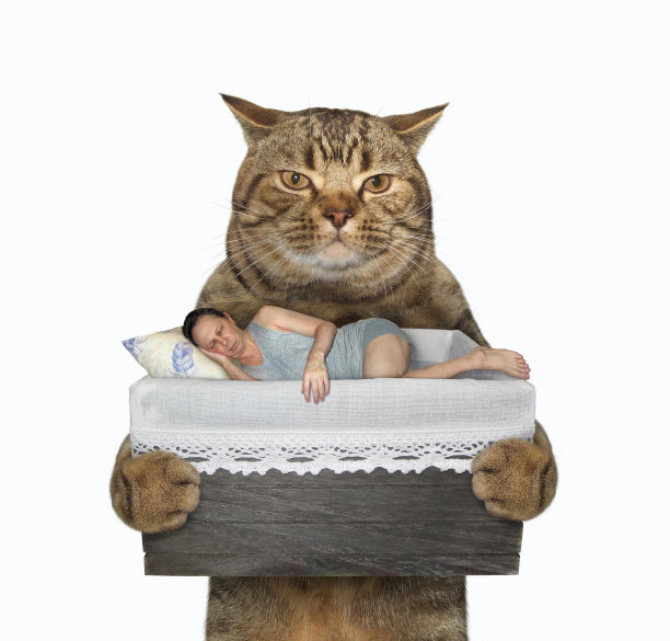 猫抱着一个正在睡觉的男人图片下载