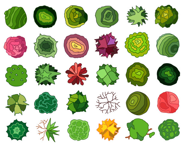 树视图。不同图标的植物和树木的建筑或景观规划。从以上观点。图片下载