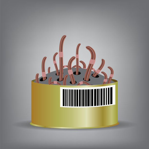 灰色背景上用于钓鱼的动物土红色蠕虫。图片下载