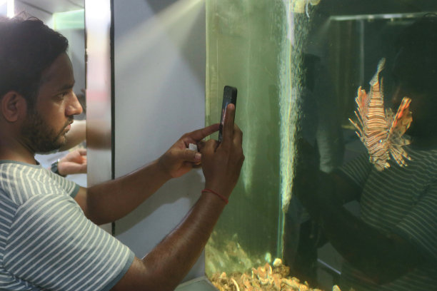 一名印度男子用手机相机在玻璃中拍摄海洋水族馆中的热带狮子鱼，有毒的狮子鱼在热带海洋水族馆鱼缸中游动，棕色和白色的蝴蝶鳕鱼/斑马鱼/萤火虫图片下载