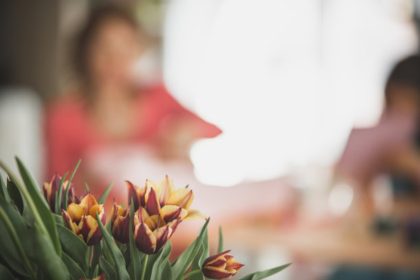 剪下一束郁金香图片下载