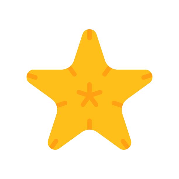 海星矢量，热带相关的平面风格图标图片下载