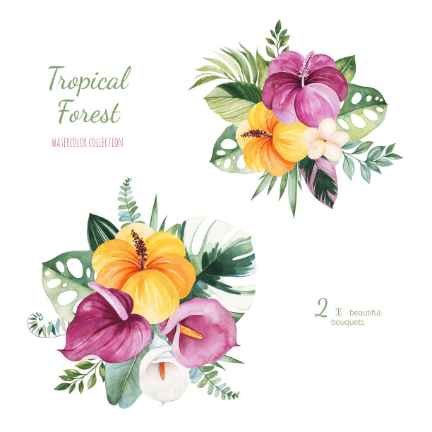 2束彩色的花，叶子，棕榈叶。图片下载