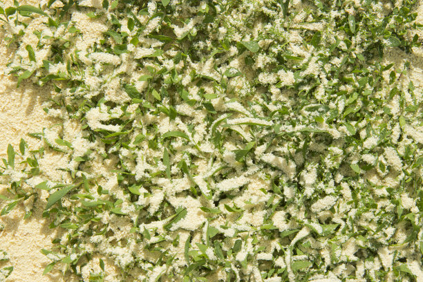 绿草上撒着锯末。图片下载