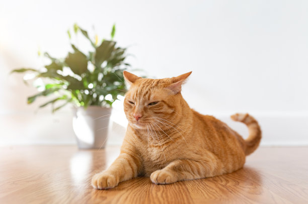 睡眠时间图片下载