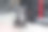 牵着狗绳的狗在等着主人。宠物图片下载