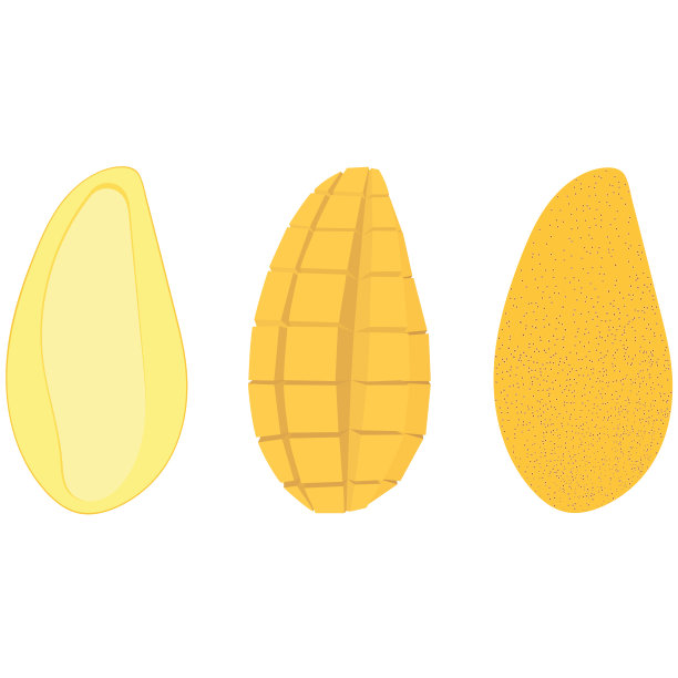 一套三种芒果-一半带骨，切开，在一个果皮。矢量插图。图片下载