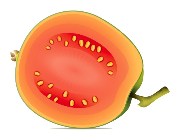 番石榴果白图片下载