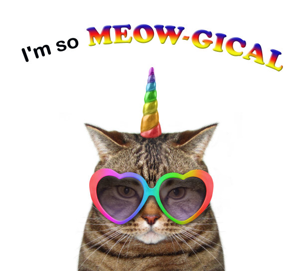 戴墨镜的猫独角兽图片下载