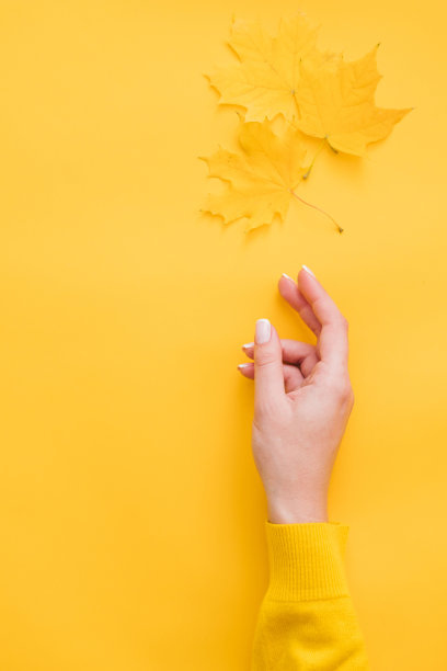 收获的时候女人手里拿着桔黄色的枫叶图片下载