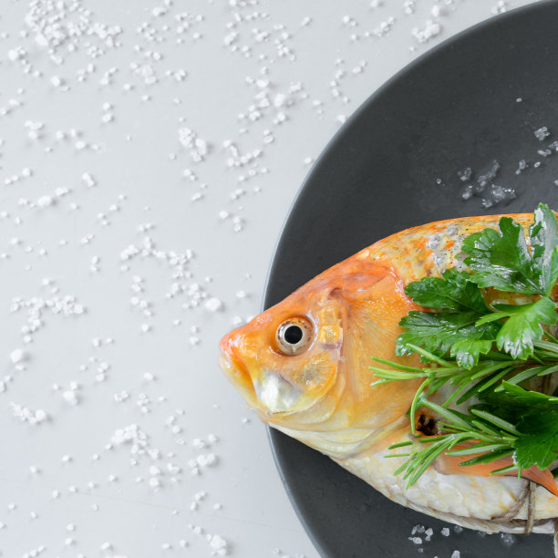 用新鲜香草烹制红鲫。健康饮食概念，文字或菜单的空间图片下载