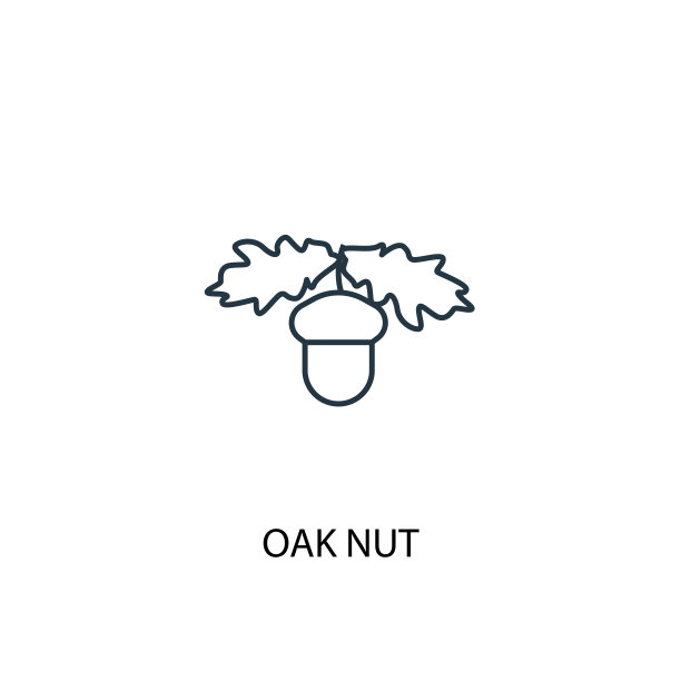 橡木坚果概念线图标。简单元素说明。橡木坚果概念轮廓符号设计。可以用于网页和手机的UI/UX吗图片下载