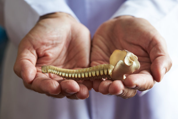 照顾腰椎的概念图片下载