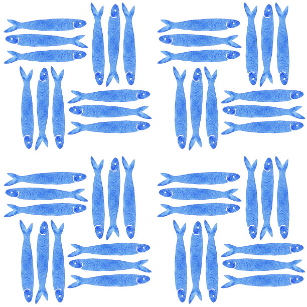 手绘海洋无缝模式一组凤尾鱼在白色的背景。图片下载