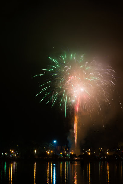 鞭炮花图片素材ID：339913020