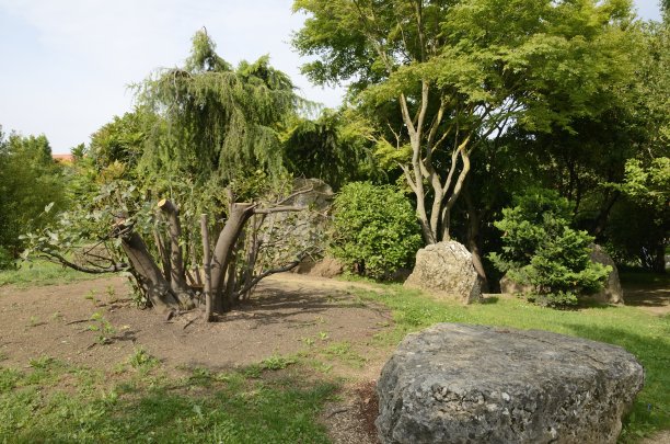 公园在潘普洛纳图片下载