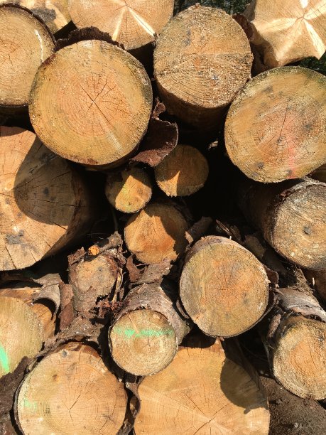 木垛，木型材图片下载