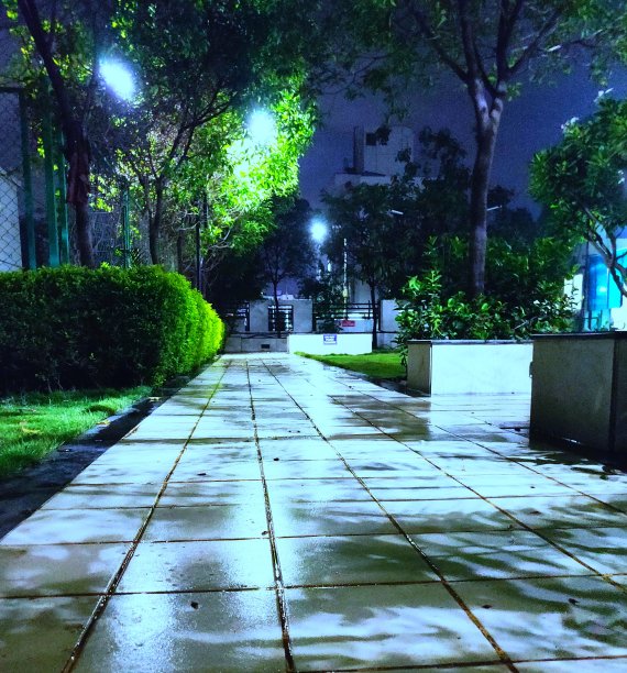 晚上走图片下载