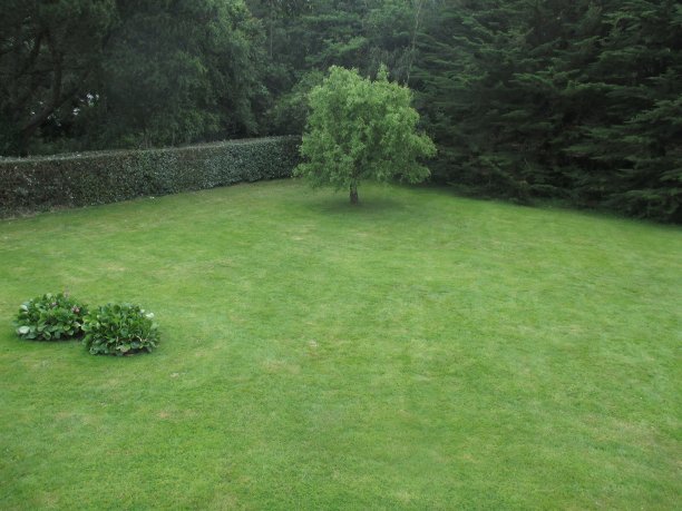 雨的天气从一个摇窗的花园景观图片下载