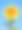 向日葵在蓝色的天空背景图片下载