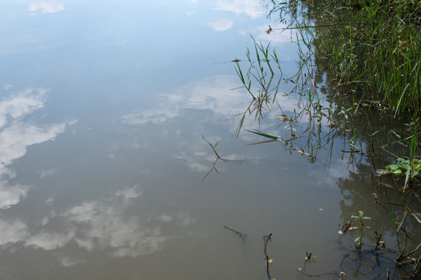 水映天图片下载