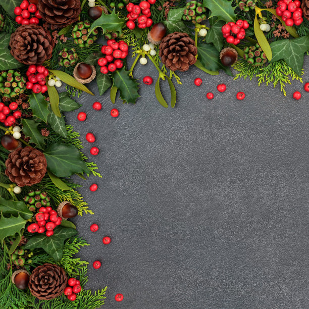 自然冬季背景边界图片下载