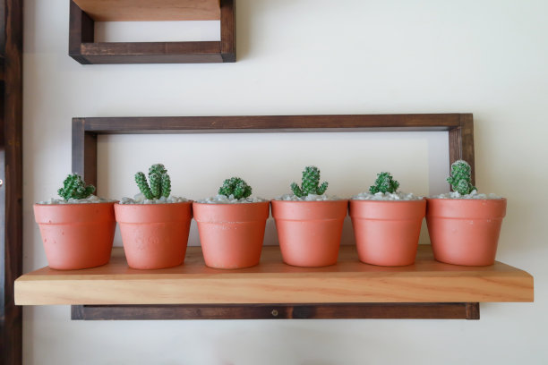 木架上的小花盆。一个独特的想法图片下载