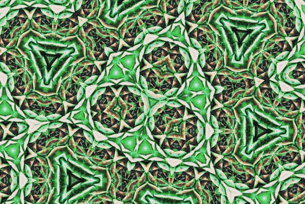 多汁曼陀罗水彩画风格图片下载