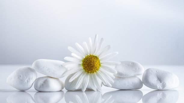 花雏菊在一个白色的石头金字塔为温泉，一个假日概念，或甘菊茶。图片下载