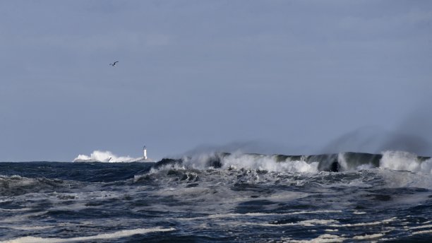 群岛的浅滩图片下载