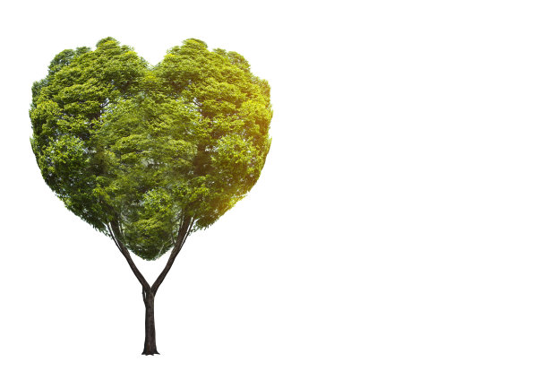 树以绿色心形、医学概念、解剖、3D显示为元素图片下载